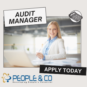 Audit Manager Job Vacancy