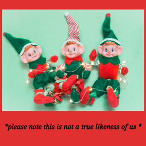 Copy of people and co who we are not really elfs