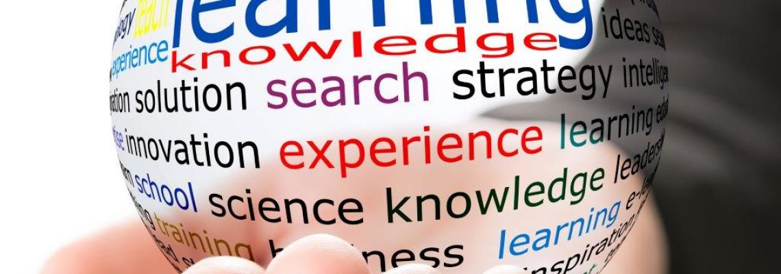 Jobs in Malta Recruitment People and Co Ltd Vacancies