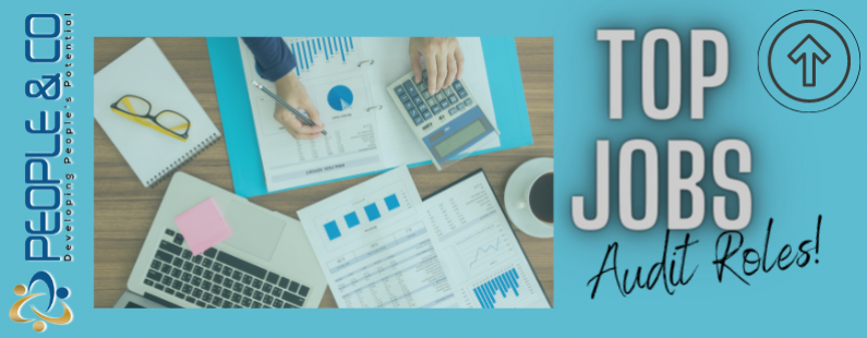 people co top jobs Audit roles in Malta jobs in Malta job search malta2