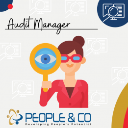 People and Co Ltd Audit Manager Accountants Jobs in Malta Job search malta europe 2