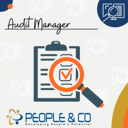 People and Co Ltd Audit Manager Accountants Jobs in Malta Job search malta europe2