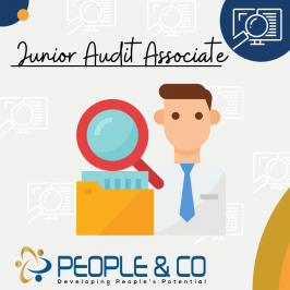 People and Co Ltd Junior Audit Associate Accountants Jobs in Malta Job search malta europe2
