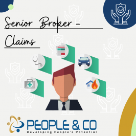 People and Co Ltd senior insurance broker Jobs in Malta Job search malta europe 2