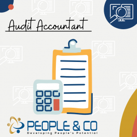 People and Co Ltd Audit Accountant Accountants Jobs in Malta Job search malta europe2