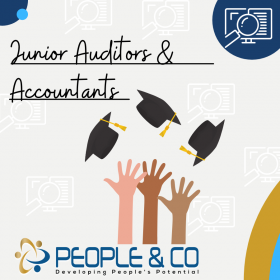 People and Co Ltd Brand Manager Junior Auditors Accountants Jobs in Malta Job search malta europe2