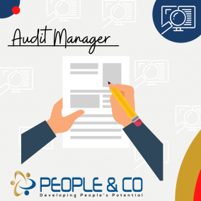 People and Co Ltd Auditor Manager Accountants Jobs in Malta Job search malta europe2