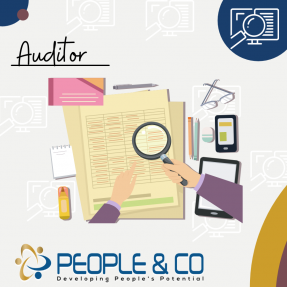 People and Co Ltd Auditors Accountants Jobs in Malta Job search malta europe2