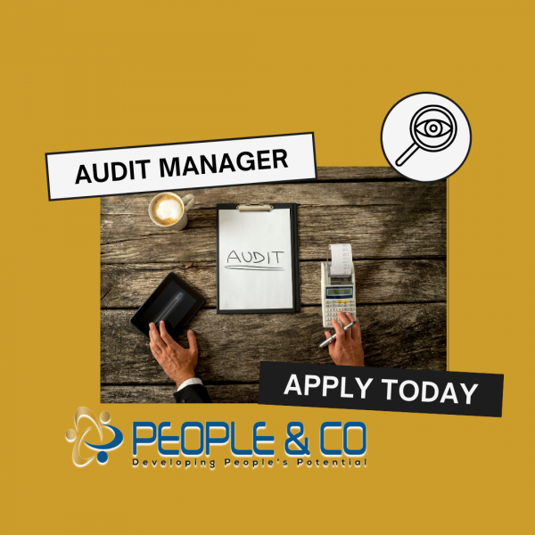 Copy of People Co Jobs vacancy job search audit manager accountant accountancy juniors acca ISA