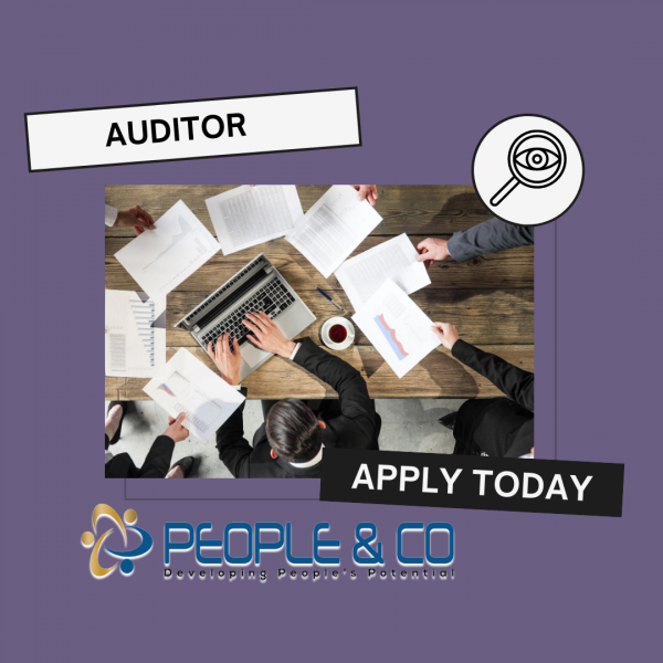 Insta People Co Jobs vacancy job search Auditor Malta jobs Europe Accountancy