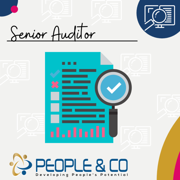 People and Co Ltd Senior Auditor Recruitment Jobs in Malta Job search malta europe 1